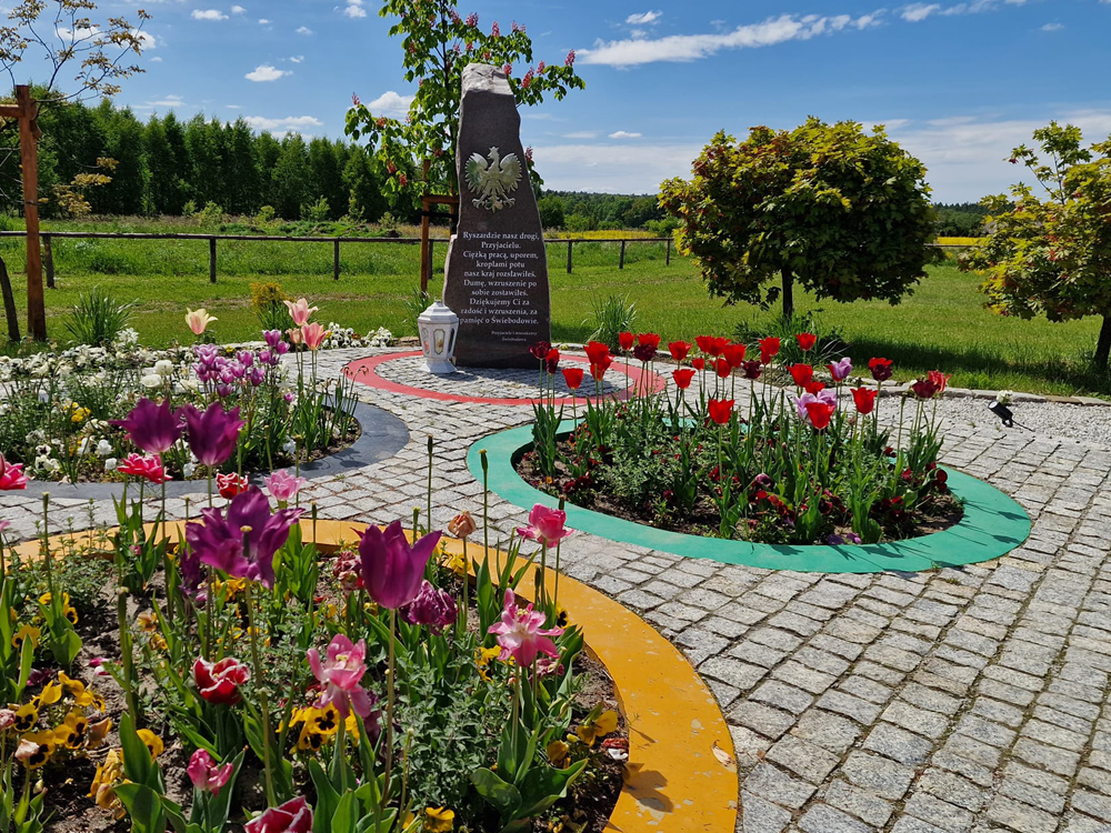 Koła olimpijskie z kwiatami